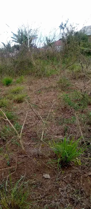 Acre 1000 for Sale Mvomero