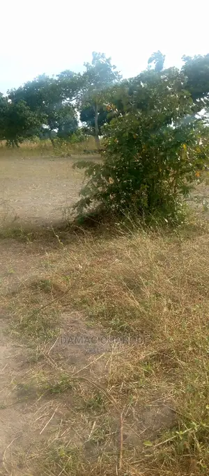 Acre 1000 for Sale Sale Mbwewe