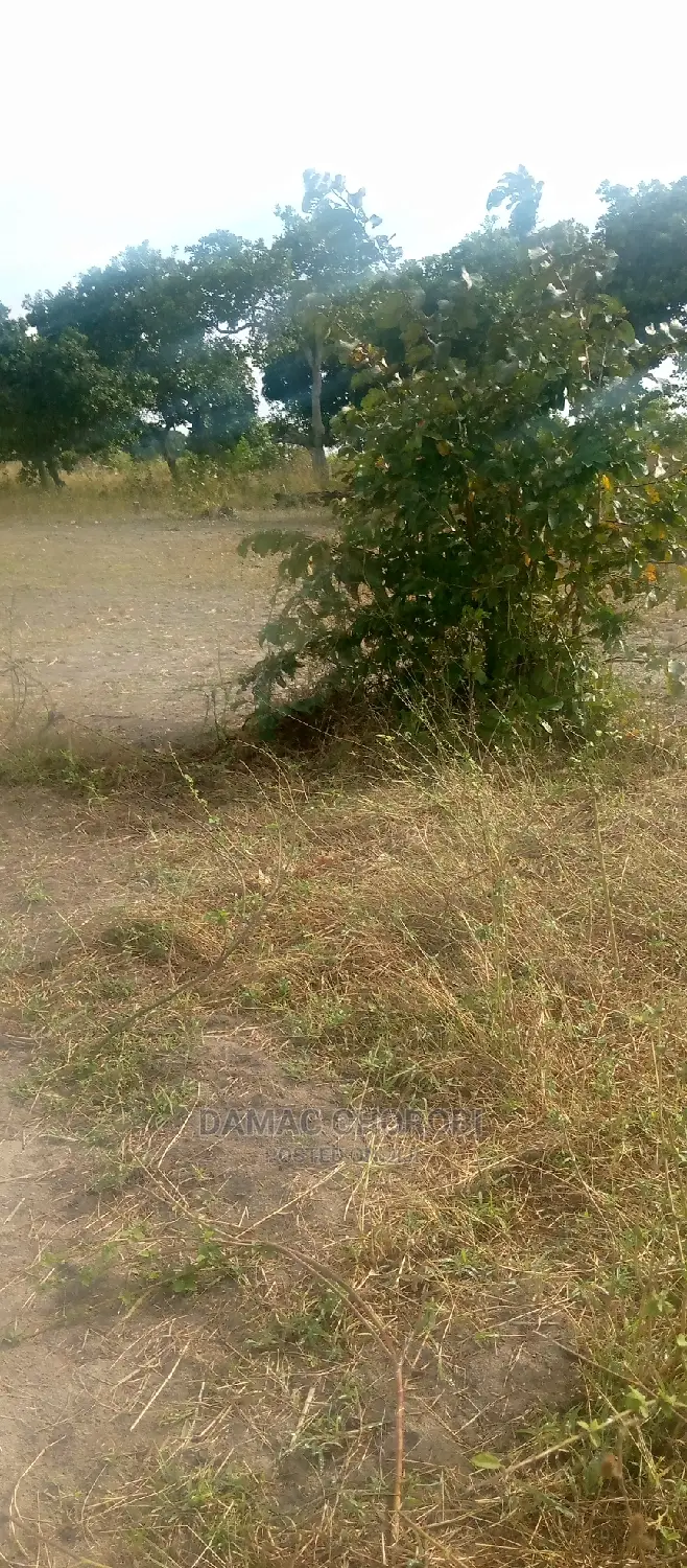 Acre 1000 for Sale Sale Mbwewe