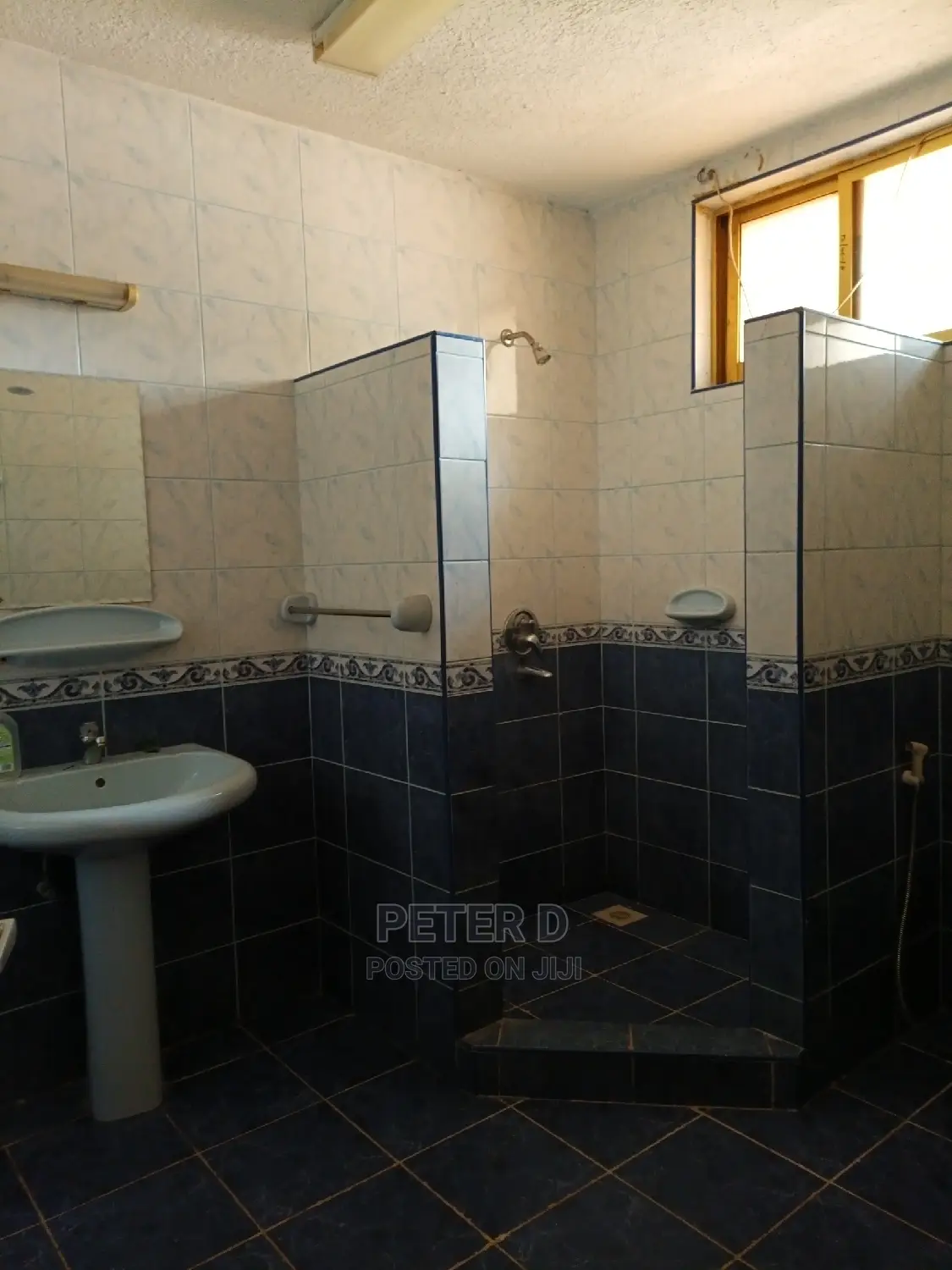 Furnished 4bdrm Villa in Mikocheni for Rent