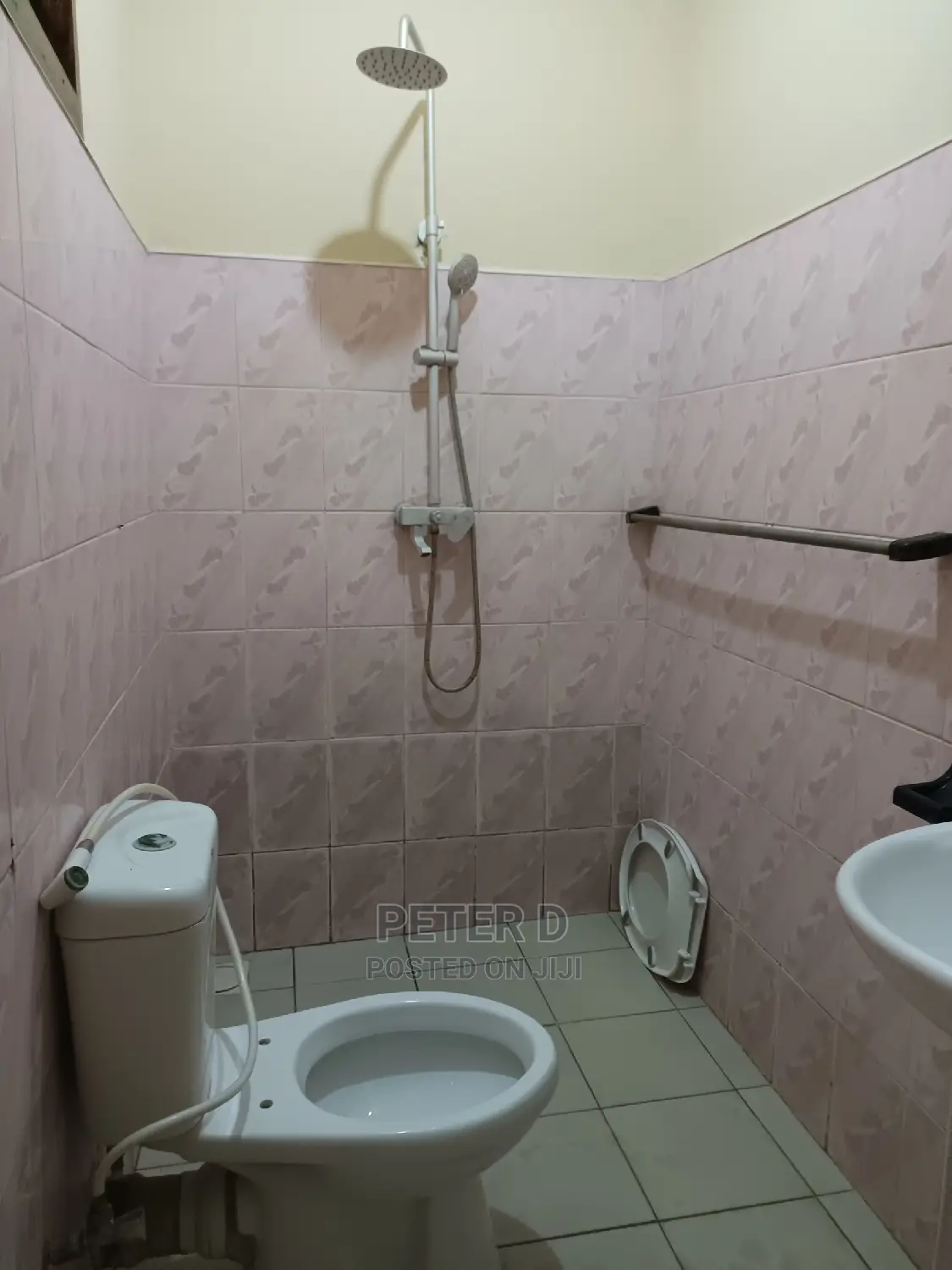2bdrm Apartment in Mikocheni for rent