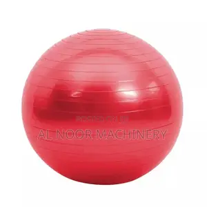 Yoga Ball Execise