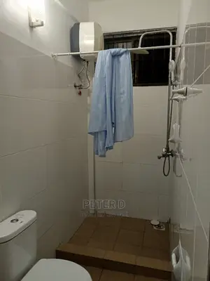 Furnished 2bdrm Apartment in Sinza for rent