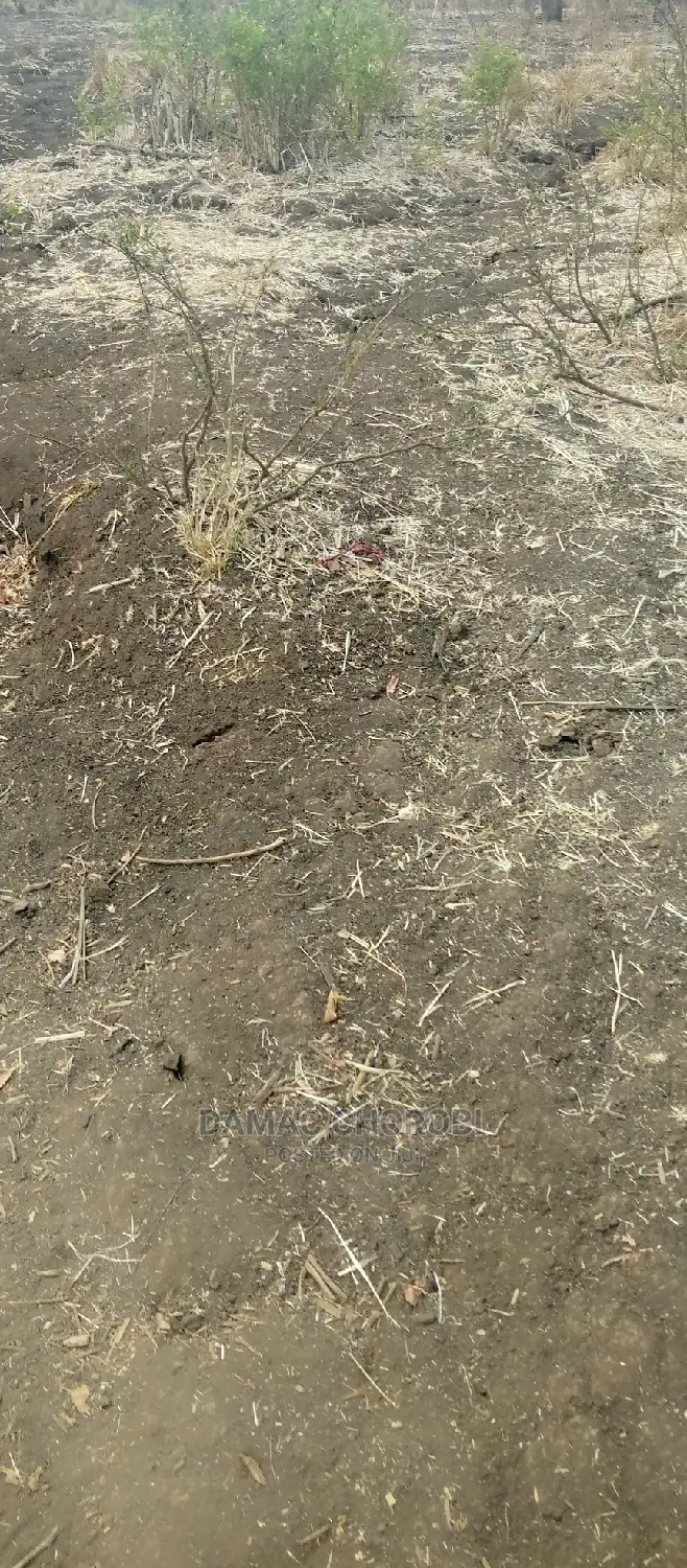 Acre 3500 Kw Kilimo Cha Mpunga