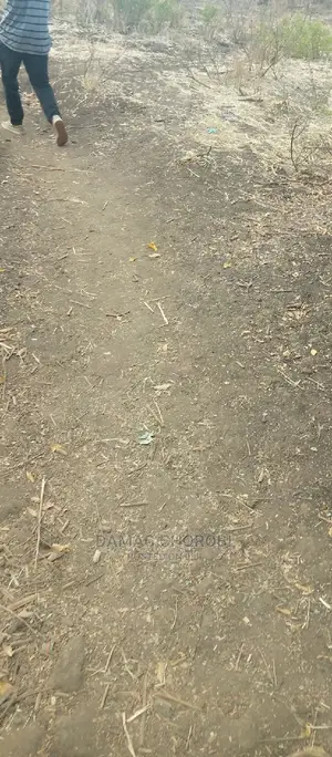 Acre 3500 Kw Kilimo Cha Mpunga