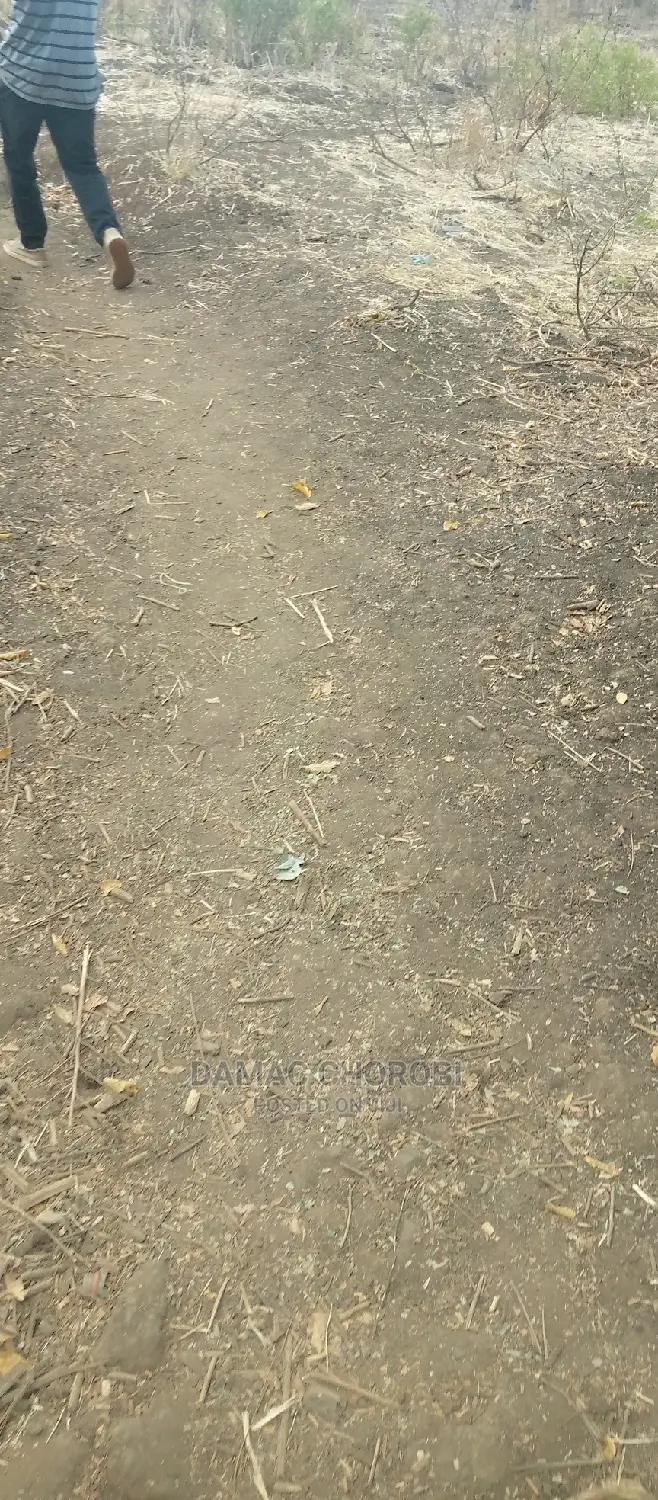 Acre 3500 Kw Kilimo Cha Mpunga