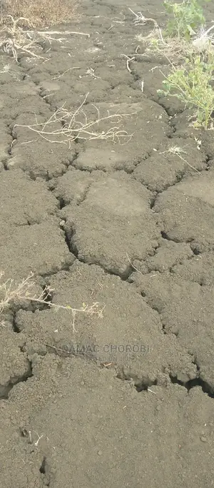 Acre 1000 for Sale Mvomero Morogoro Njia Ya Iringa Barabani