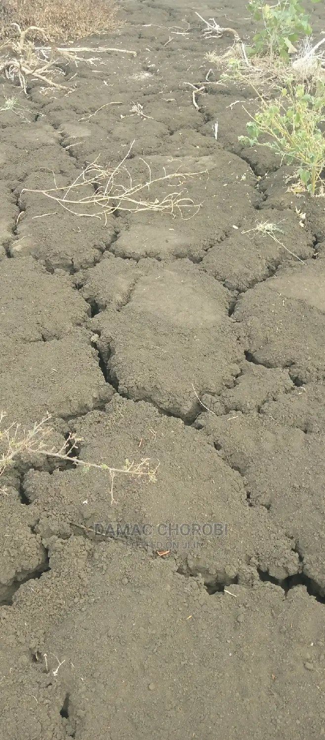 Acre 1000 for Sale Mvomero Morogoro Njia Ya Iringa Barabani