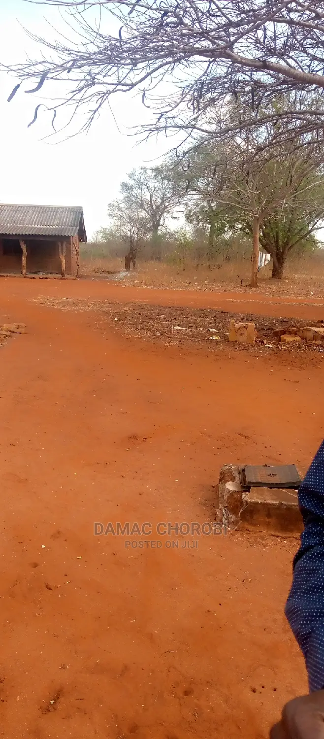 Acre 500 for Sale Mvomero Morogoro Shamba La Kilimo
