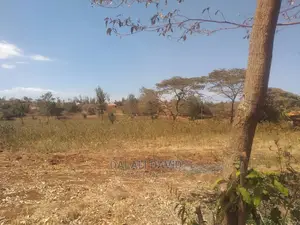 Kiwanja Sqm750 Kinauzwa Kigamboni