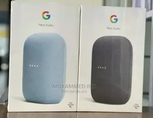 Google Nest