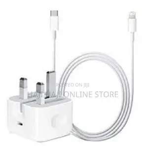 Apple iPhone 11 Pro Max Charger
