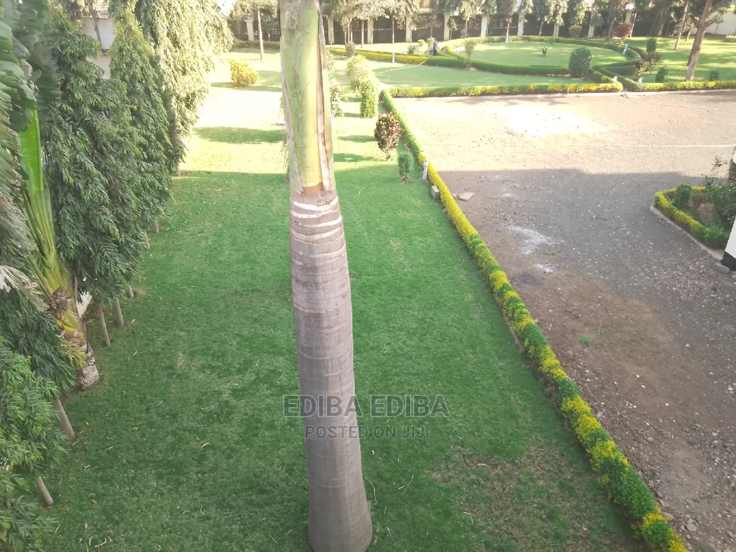 Business Space/Office for Rent at Njiro Nanenane