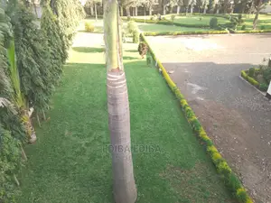 Business Space/Office for Rent at Njiro Nanenane
