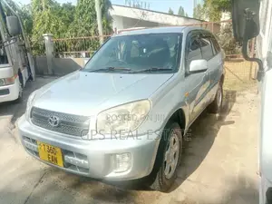 Toyota RAV4 2005 Silver