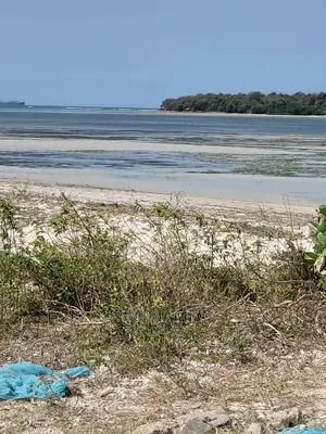 Beach Land for Sale in Dar Es Salaam Kigamboni, Bigstone.