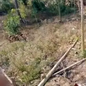 Kiwanja Kiko Mita 100 Toka Main Road Kinauzwa Kimara Temboni