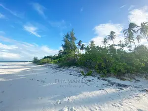Beach Front Plot for Sale in Zanzibar.