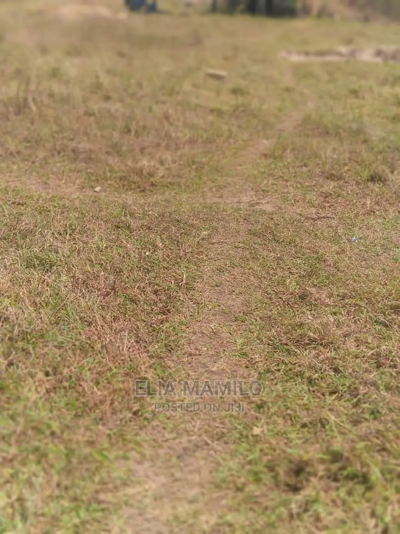 Land for Sale in Tarangile Arusha.