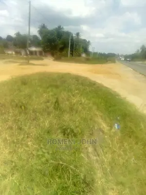 Eneo La Kibiashara Linalogusa Lami Linauzwa