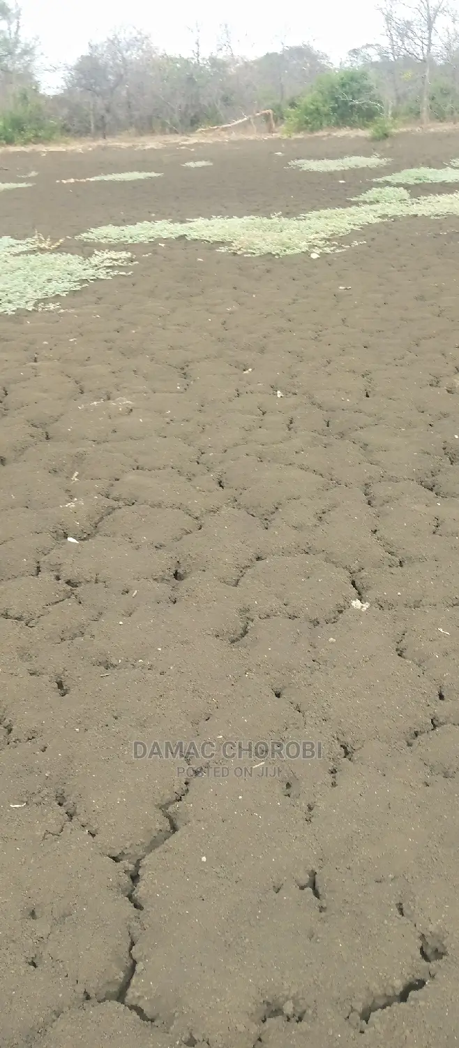 Shamba Linauzwa Mvomero Morogoro Ukubwa Acre 2000