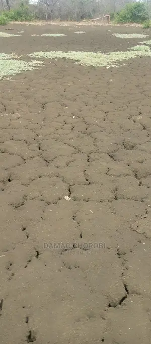 Shamba Linauzwa Mvomero Morogoro Ukubwa Acre 2000
