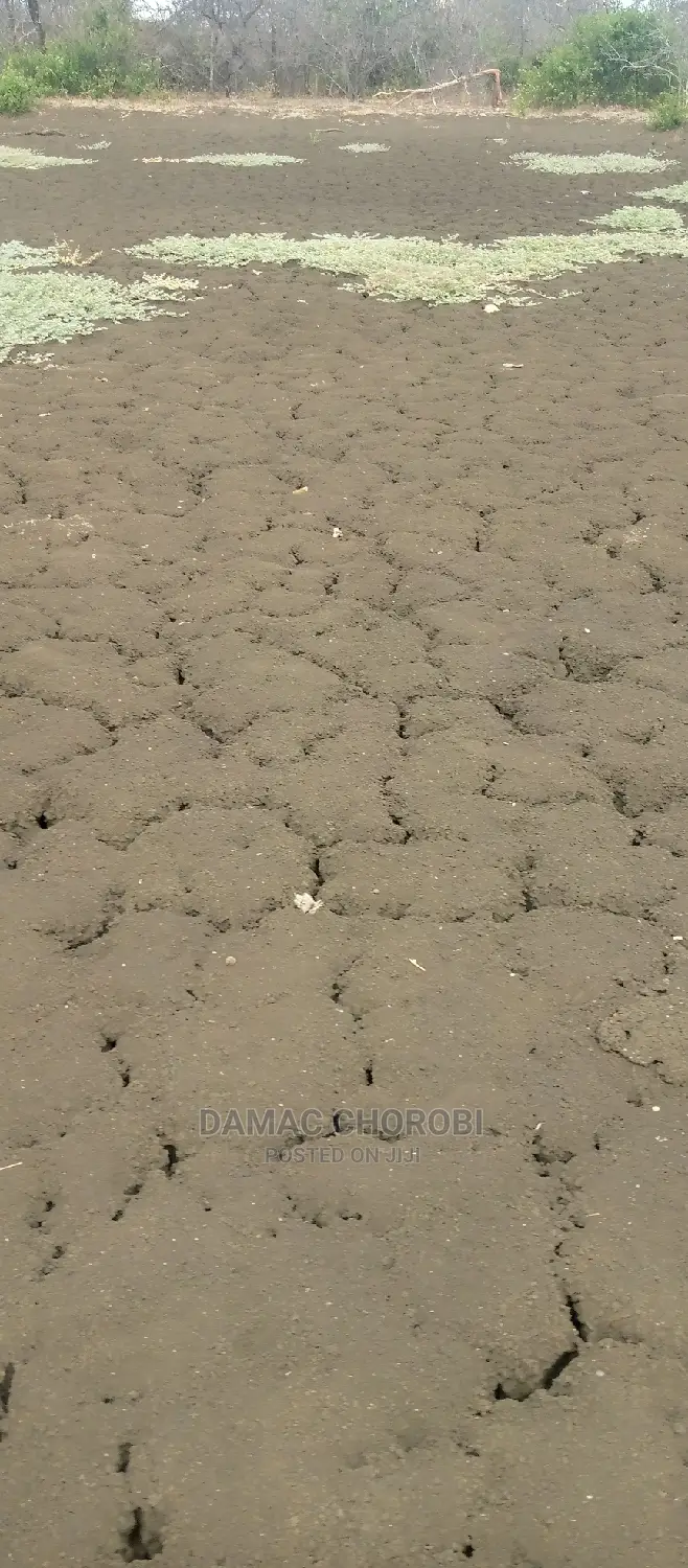 Shamba Linauzwa Mvomero Morogoro Ukubwa Acre 2000