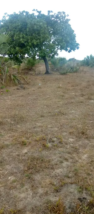 Acre 12 for Sale Bagamoyo Mjini