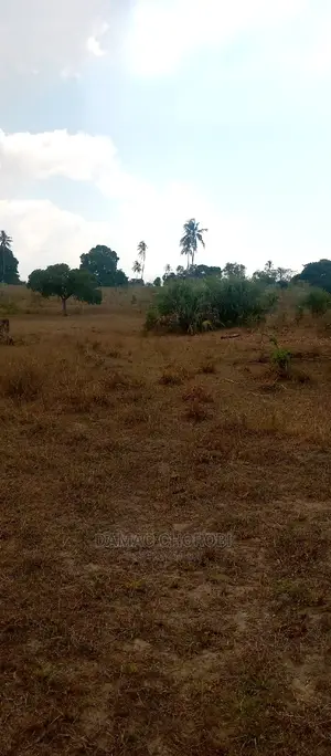 Acre 12 for Sale Bagamoyo Mjini