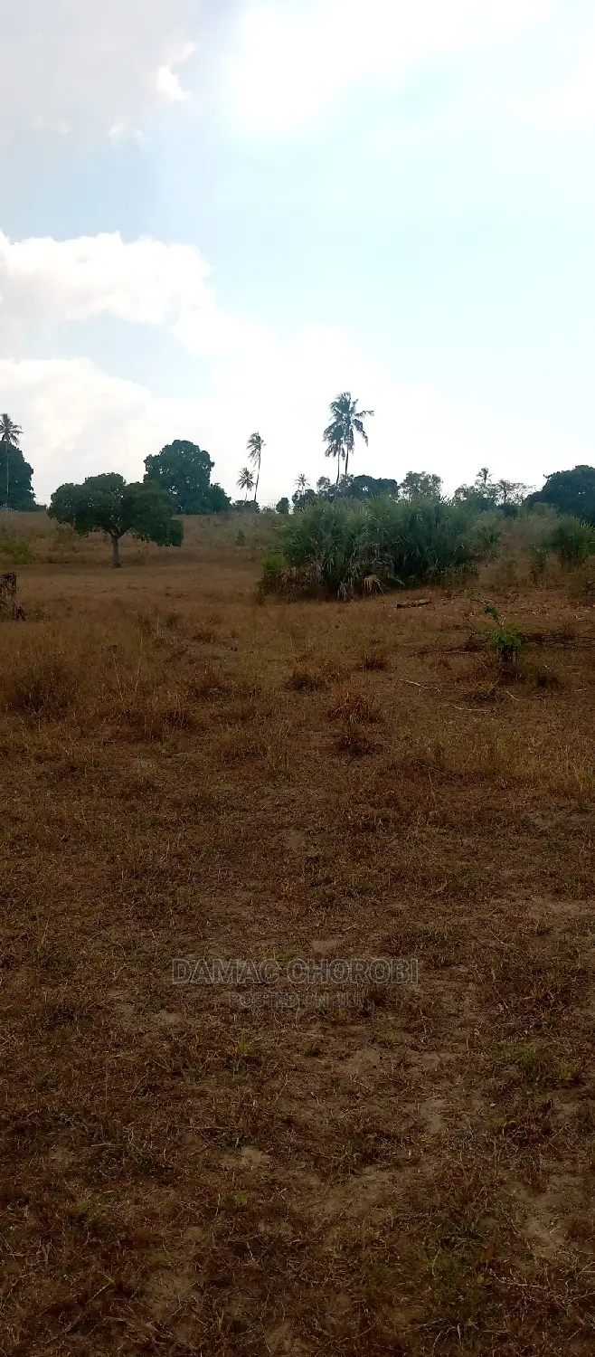 Acre 12 for Sale Bagamoyo Mjini