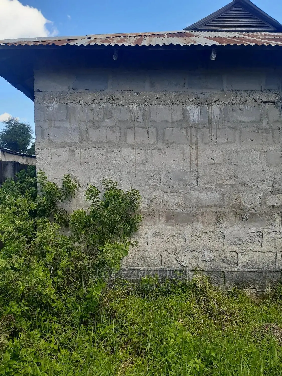 House and Plot for Sale