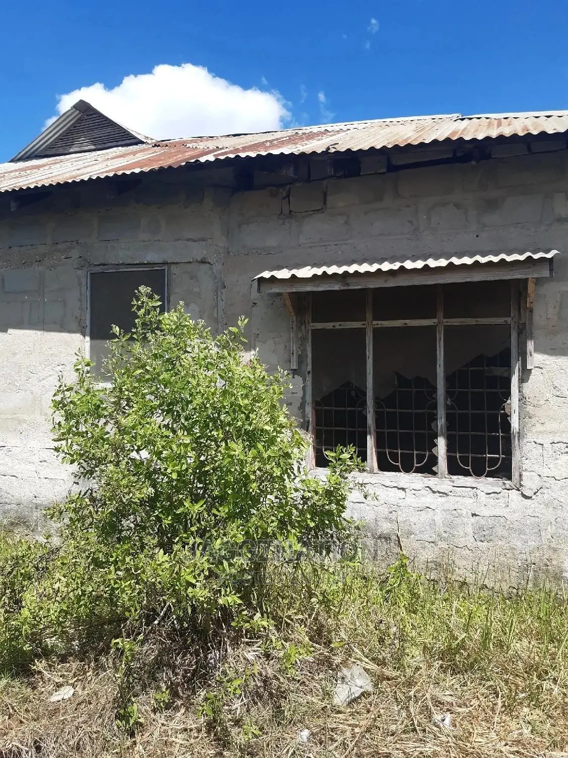 House and Plot for Sale