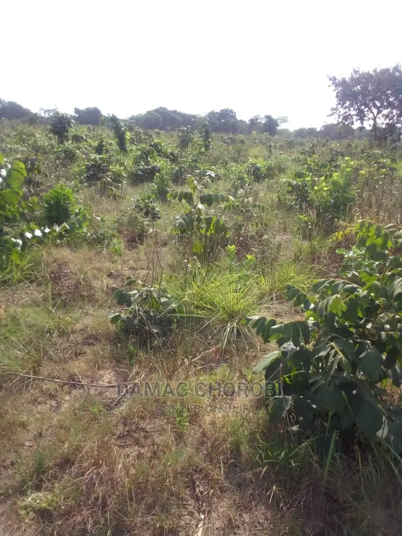 Jipatie Mashamba Bora Kwa Makazi Kilimo
