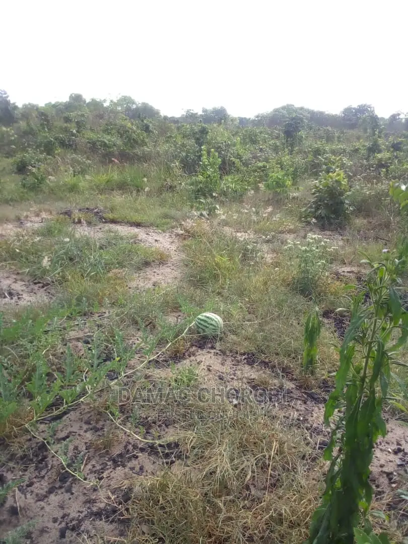 Jipatie Mashamba Bora Kwa Makazi Kilimo