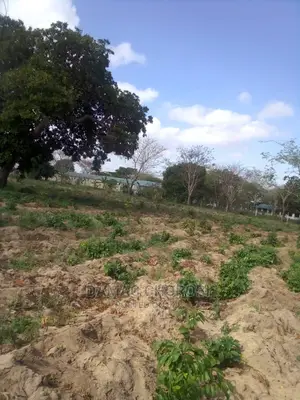 Jipatie Mashamba Bora Kwa Makazi Kilimo