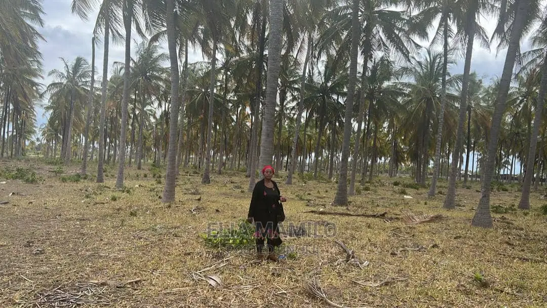 Beach Plot for Sale in Dar ES Salaam Kigamboni, Geza.