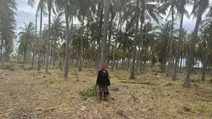 Beach Plot for Sale in Dar ES Salaam Kigamboni, Geza.