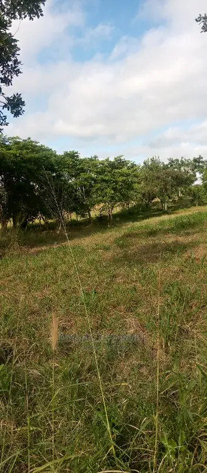 Acre 2000 Itigi Singida for Sale