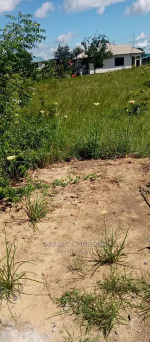 Acre 3000 Mhino Pwani for Sale Mkoa Wa Pwani