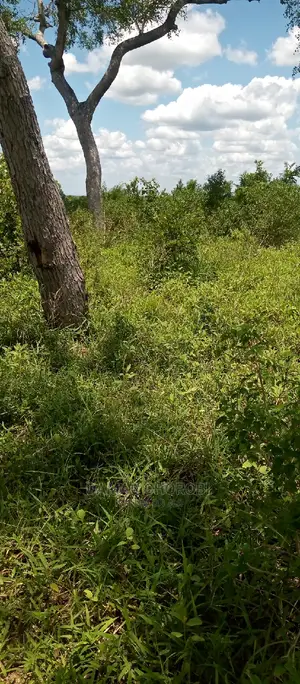 Acre 3000 Mhino Pwani for Sale Mkoa Wa Pwani