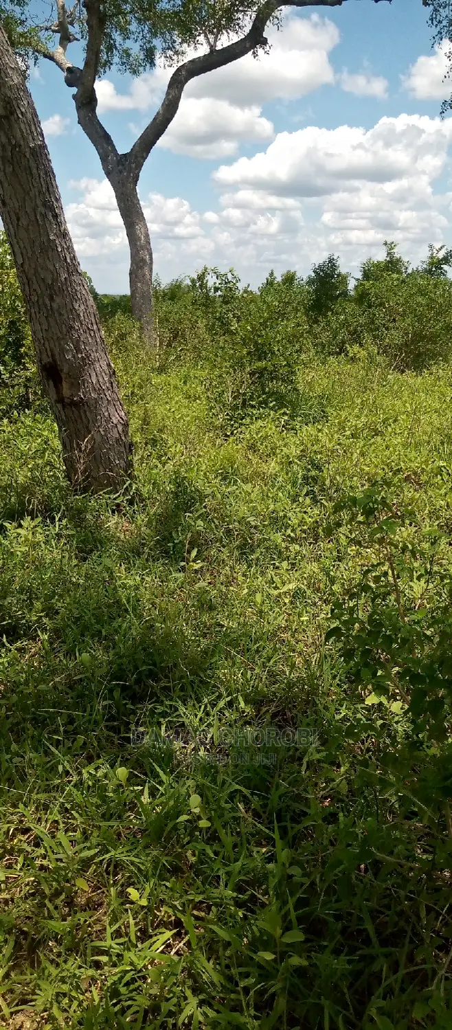 Acre 3000 Mhino Pwani for Sale Mkoa Wa Pwani