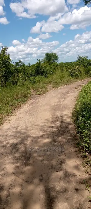 Acre 3000 Mhino Pwani for Sale Mkoa Wa Pwani
