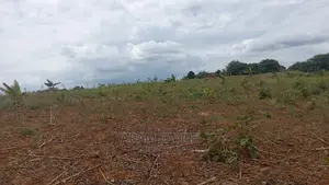 Shamba Linauzwa Kiwangwa Bagamoyo