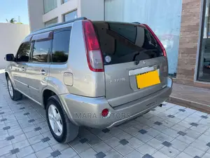 Nissan X-Trail 2004 Gray