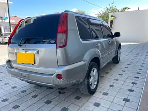 Nissan X-Trail 2004 Gray