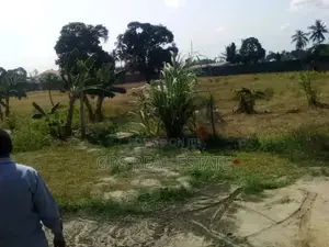 Yard For Sale