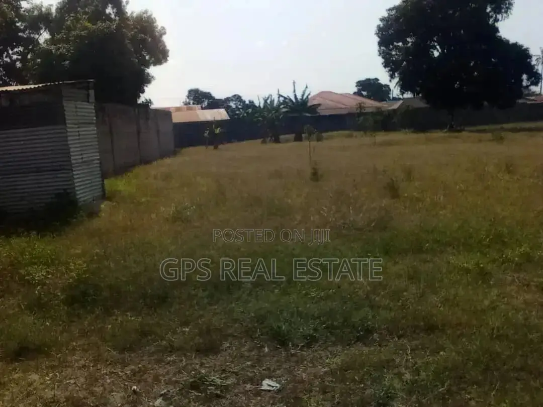 Yard For Sale