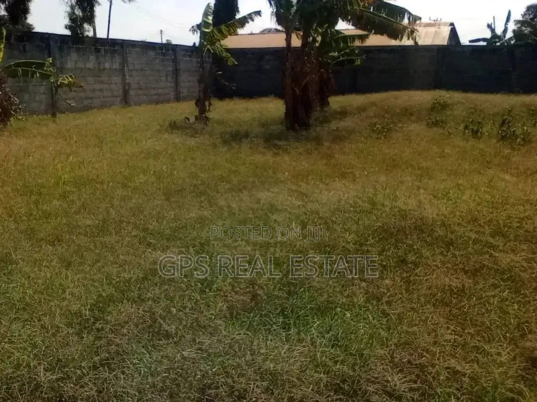 Yard For Sale