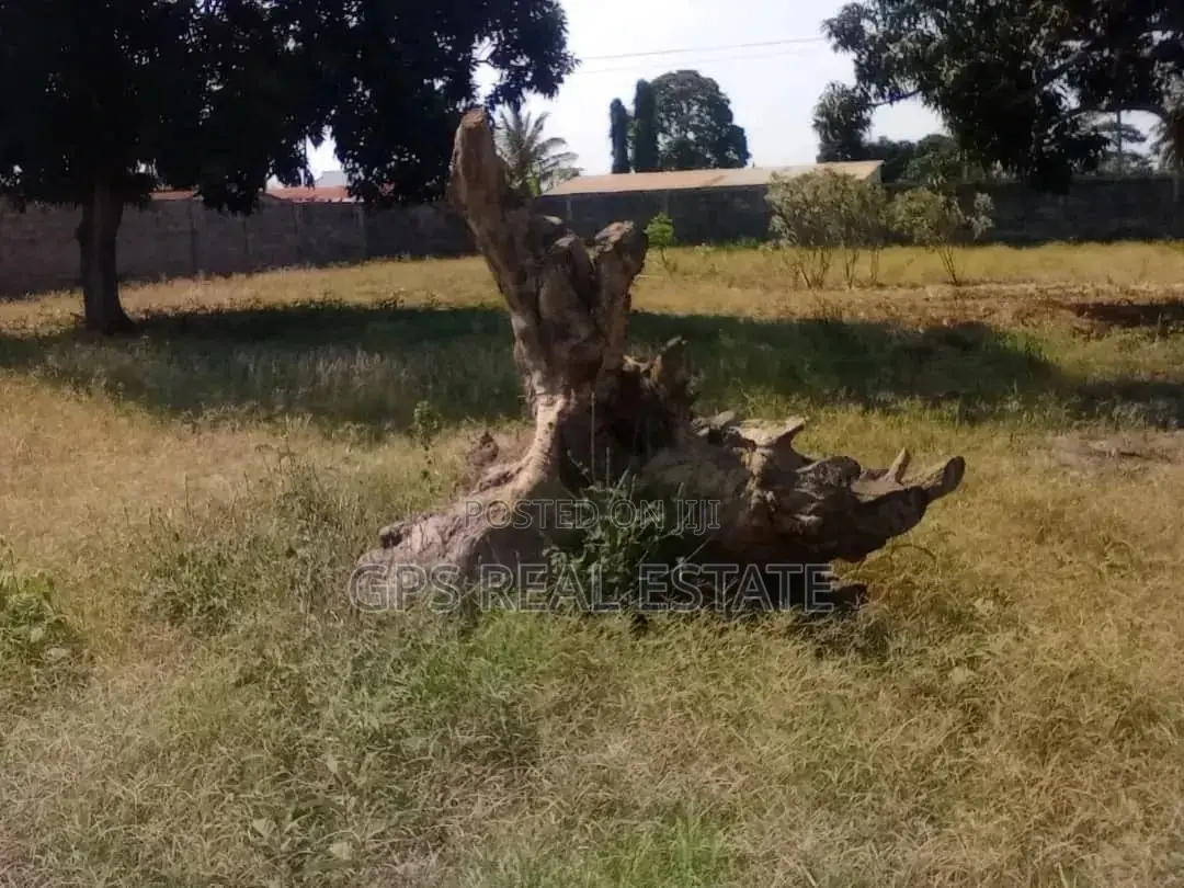 Yard For Sale