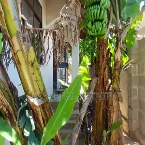 3bdrm House in Tegeta Skanska, Kinondoni for Sale